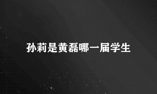孙莉是黄磊哪一届学生