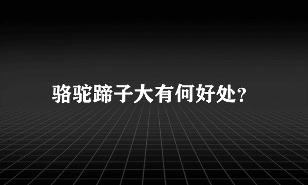 骆驼蹄子大有何好处？