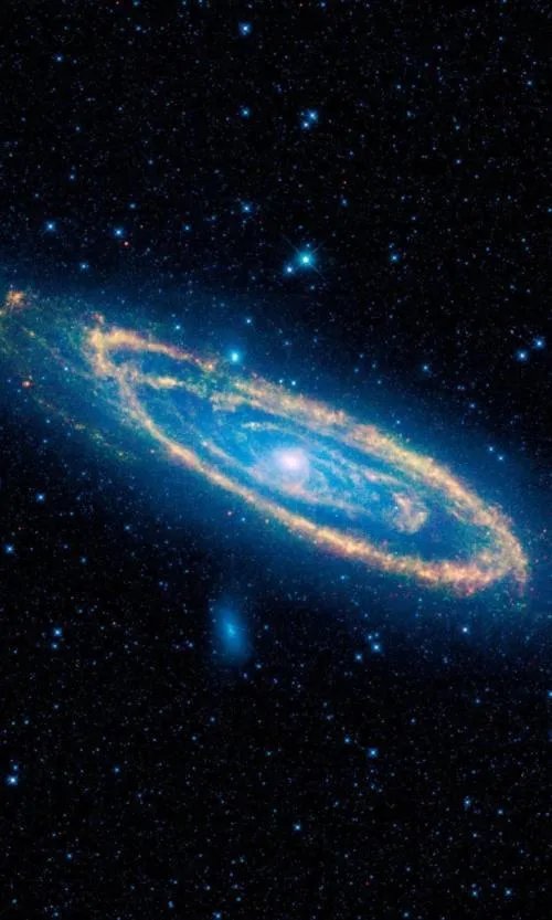 已知宇宙中最冷的地方是哪里?