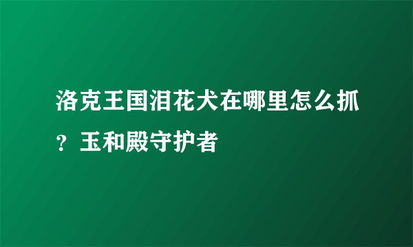 洛克王国泪花犬在哪里怎么抓？玉和殿守护者