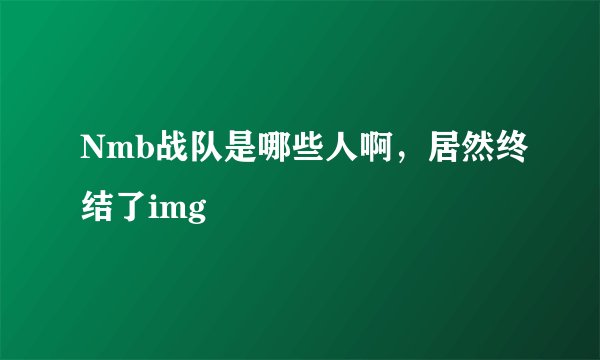 Nmb战队是哪些人啊，居然终结了img