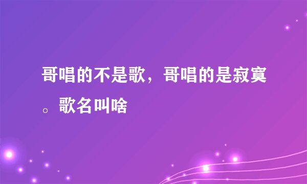 哥唱的不是歌，哥唱的是寂寞。歌名叫啥