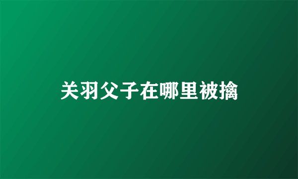 关羽父子在哪里被擒