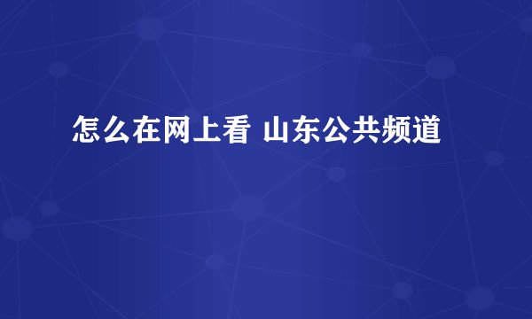 怎么在网上看 山东公共频道