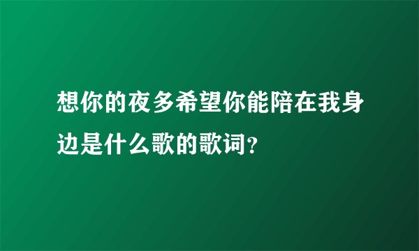 想你的夜多希望你能陪在我身边是什么歌的歌词？