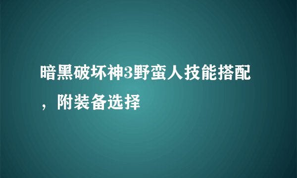 暗黑破坏神3野蛮人技能搭配，附装备选择