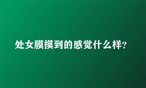 处女膜摸到的感觉什么样？