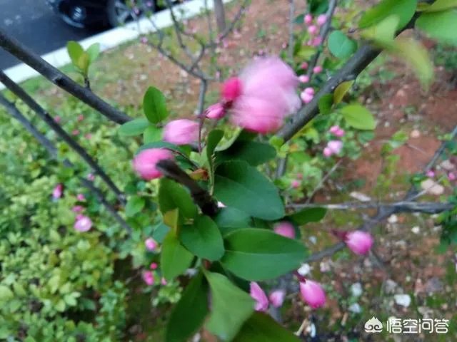 成为流浪汉是什么体验?