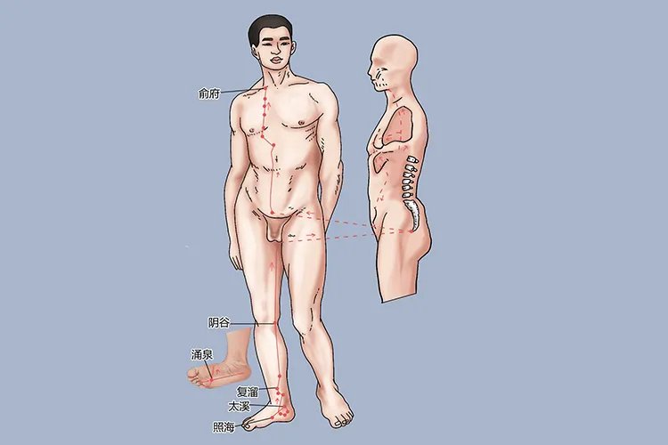 膝盖周围的经络图