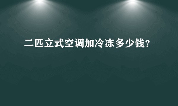 二匹立式空调加冷冻多少钱？