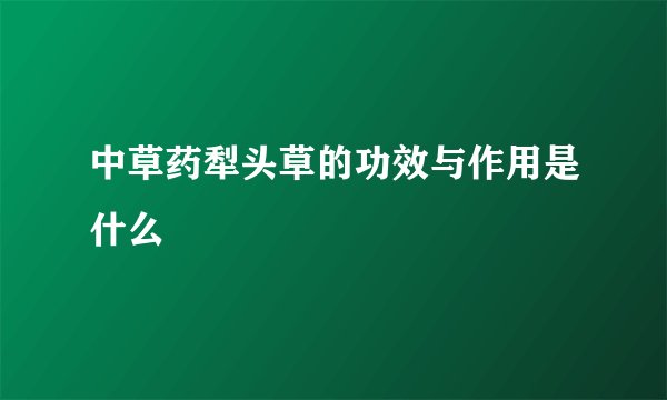 中草药犁头草的功效与作用是什么
