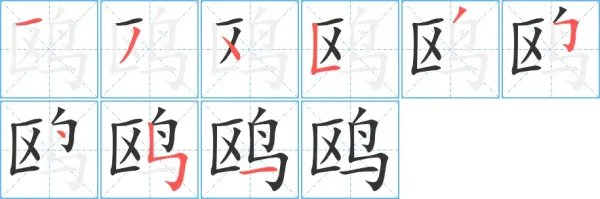 鸥组词和拼音