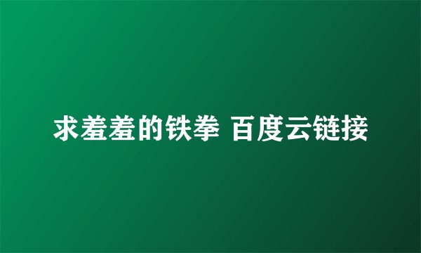 求羞羞的铁拳 百度云链接