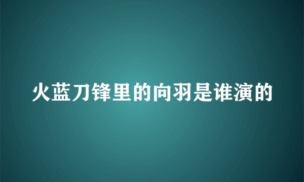 火蓝刀锋里的向羽是谁演的