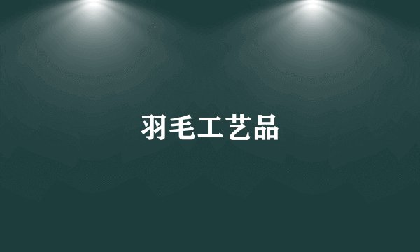 羽毛工艺品