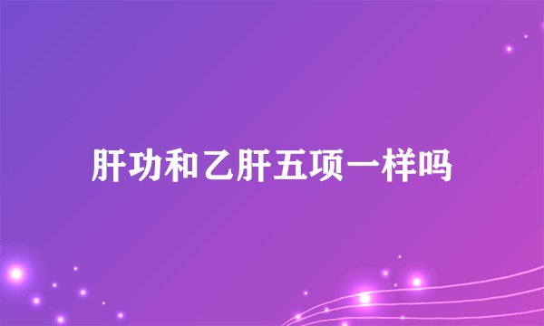 肝功和乙肝五项一样吗