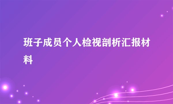 班子成员个人检视剖析汇报材料