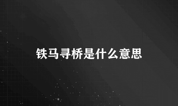 铁马寻桥是什么意思