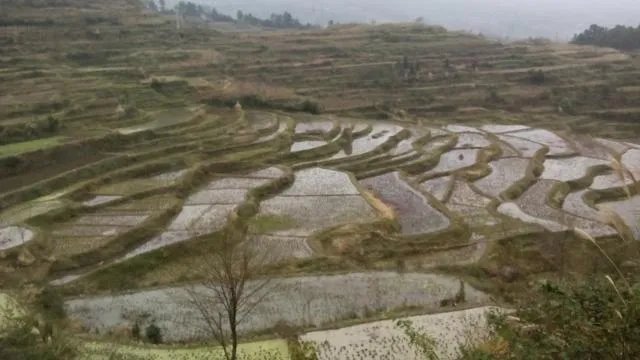 怎么用土法丈量不规则的田土面积?