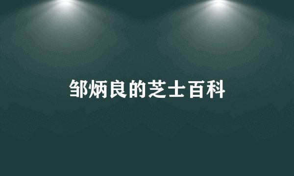 邹炳良的芝士百科