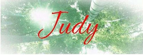 Judy这个英文名意思是什么?有什么含义么??