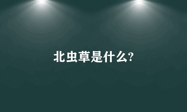 北虫草是什么?