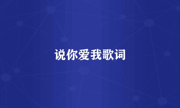 说你爱我歌词