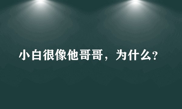 小白很像他哥哥，为什么？