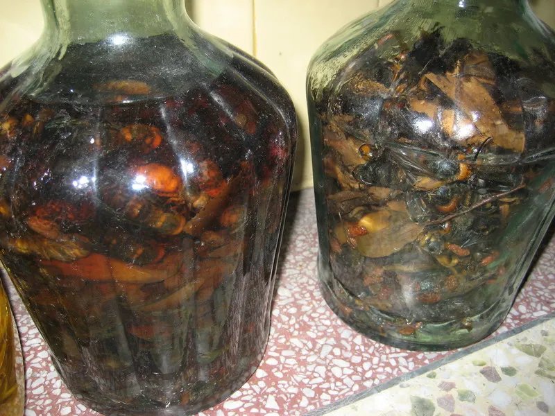 药酒的特色
