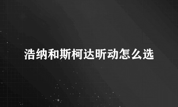 浩纳和斯柯达昕动怎么选