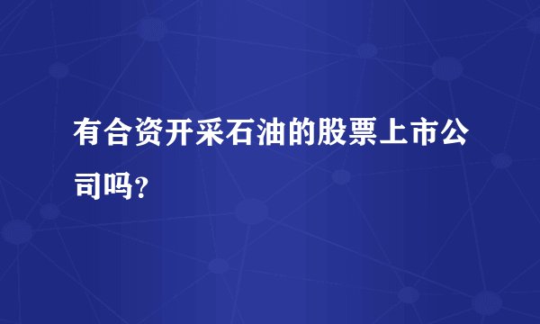 有合资开采石油的股票上市公司吗？