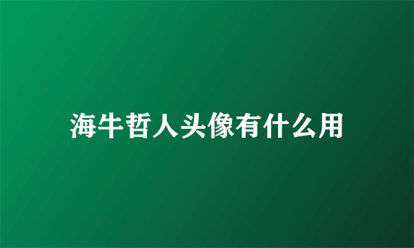 海牛哲人头像有什么用