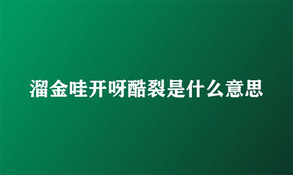溜金哇开呀酷裂是什么意思