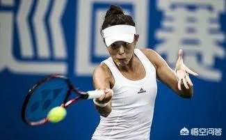 2019澳网中国网球金花你更看好谁?