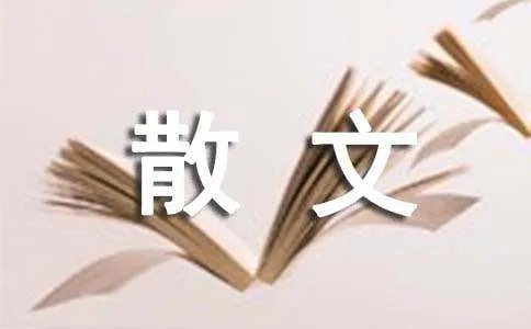 我爱你爱的好辛苦散文