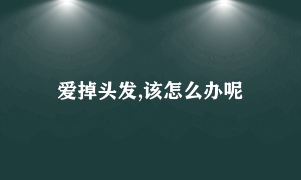 爱掉头发,该怎么办呢