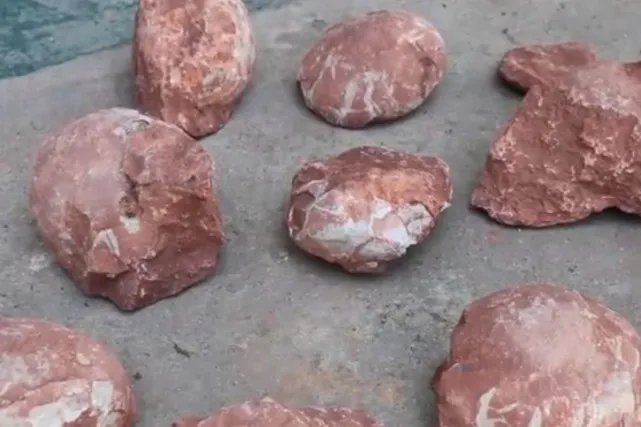 江西工地挖出6600万年前恐龙蛋化石,究竟长什么样?