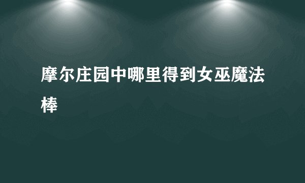 摩尔庄园中哪里得到女巫魔法棒