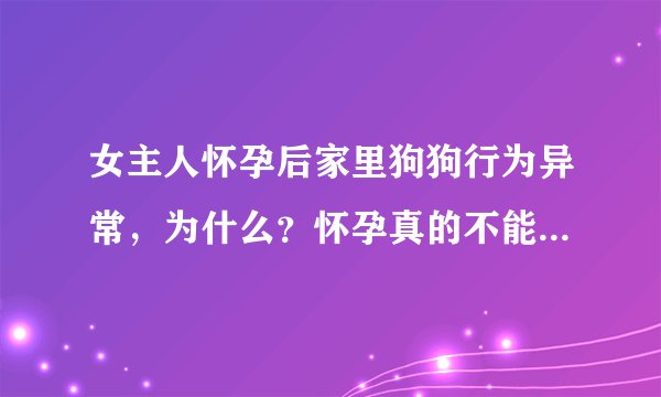 女主人怀孕后家里狗狗行为异常，为什么？怀孕真的不能养狗吗？
