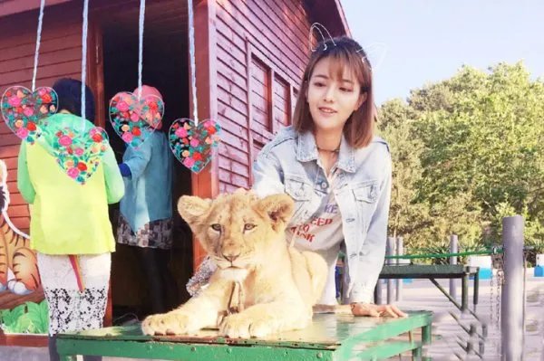 王梓芠的演员之路在经过这个“小三事件”之后是不是彻底断绝了?