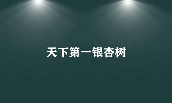 天下第一银杏树