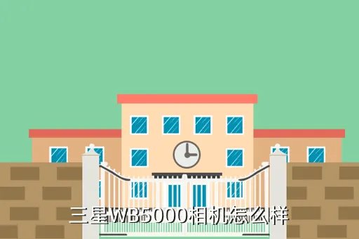 wb5000,粤WB5000车牌