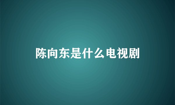 陈向东是什么电视剧
