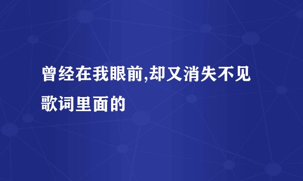 曾经在我眼前,却又消失不见  歌词里面的