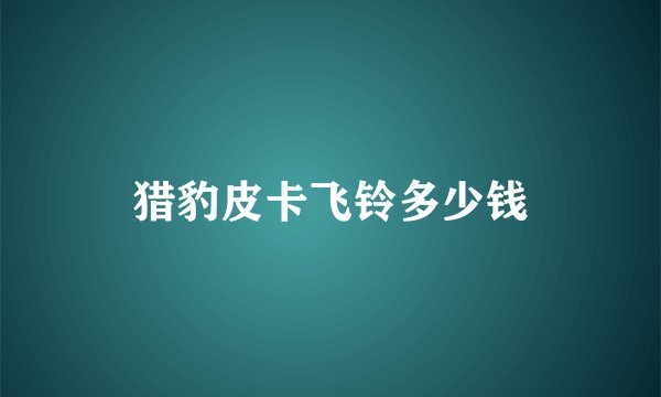 猎豹皮卡飞铃多少钱
