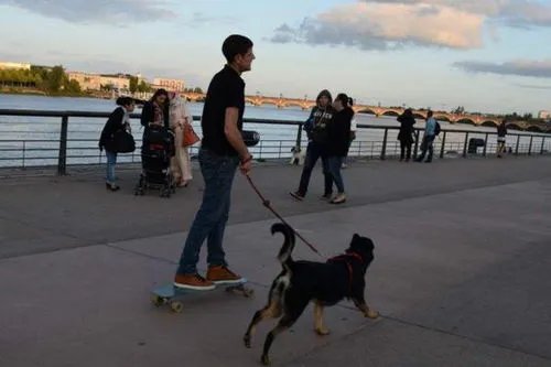 一位大爷玩轮滑和未牵绳的狗相撞，大爷的伤势情况如何？