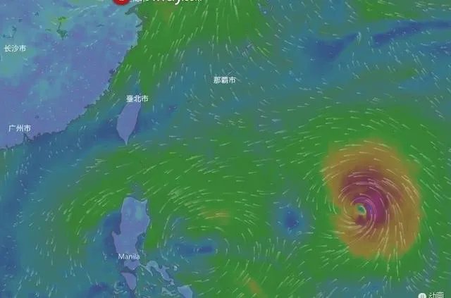 台风泰利最大可能去哪里?