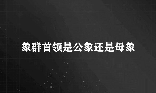 象群首领是公象还是母象