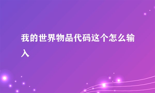 我的世界物品代码这个怎么输入