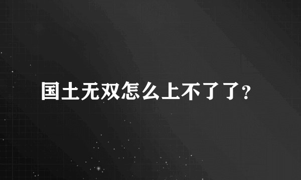 国土无双怎么上不了了？